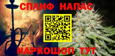 крисы Бузулук